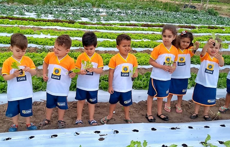 Crianças de creche municipal de Cuité visitam canteiro de hortaliças em Nova Floresta