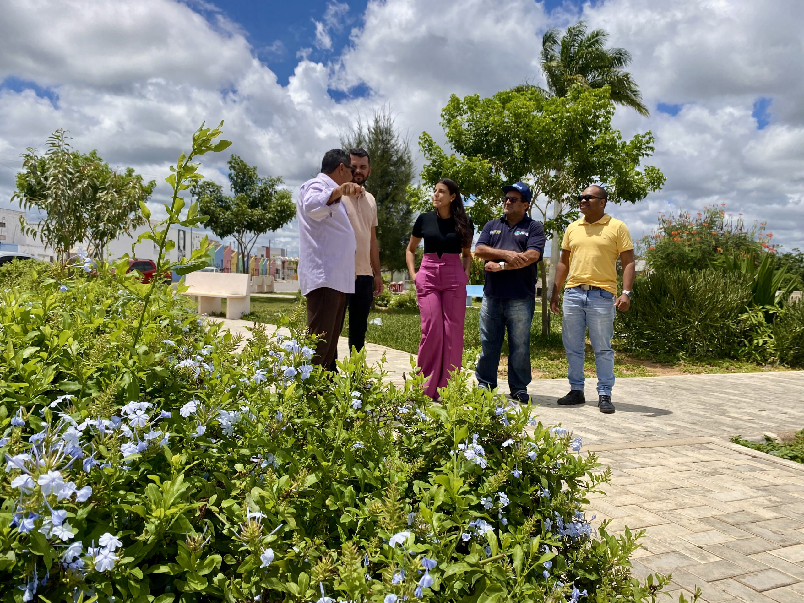 CUITÉ INICIA ESTUDOS PARA IMPLEMENTAÇÃO DO PLANO DIRETOR DE ARBORIZAÇÃO MUNICIPAL