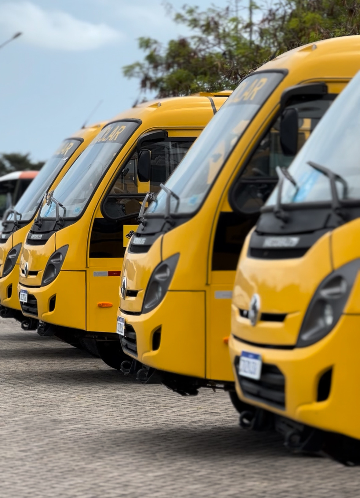 Cuité recebe novo ônibus escolar para atender estudantes da zona rural